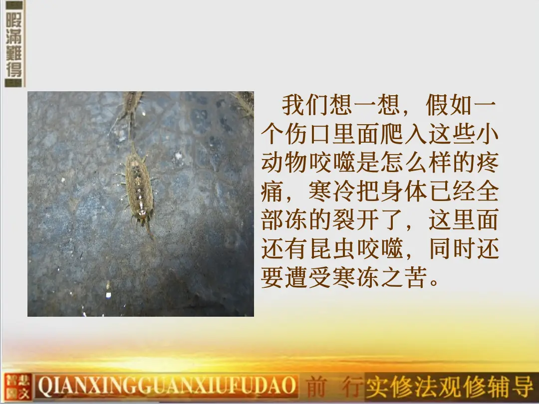 讲义第 17 页
