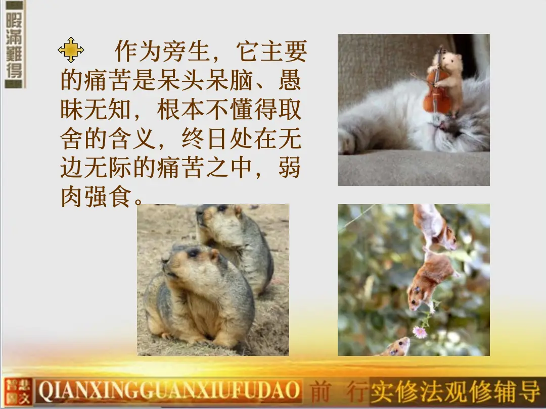 讲义第 47 页