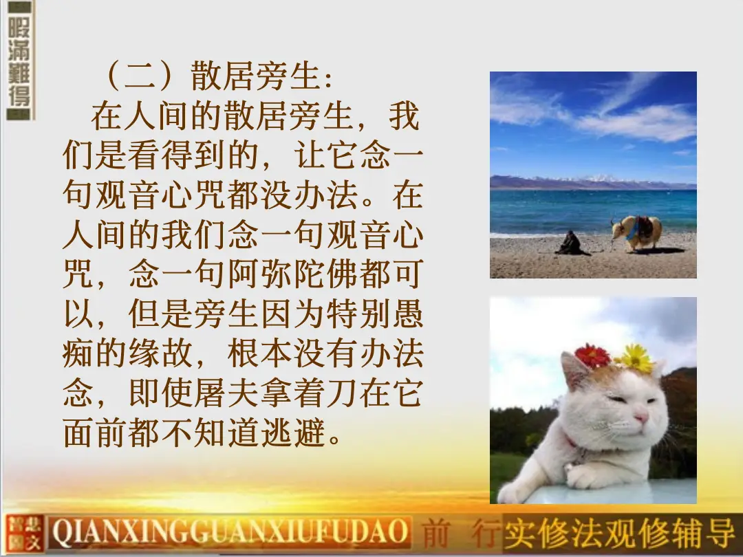 讲义第 48 页