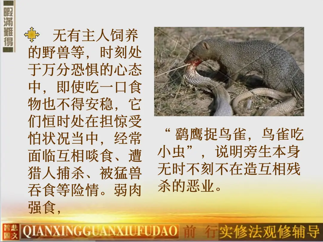 讲义第 50 页