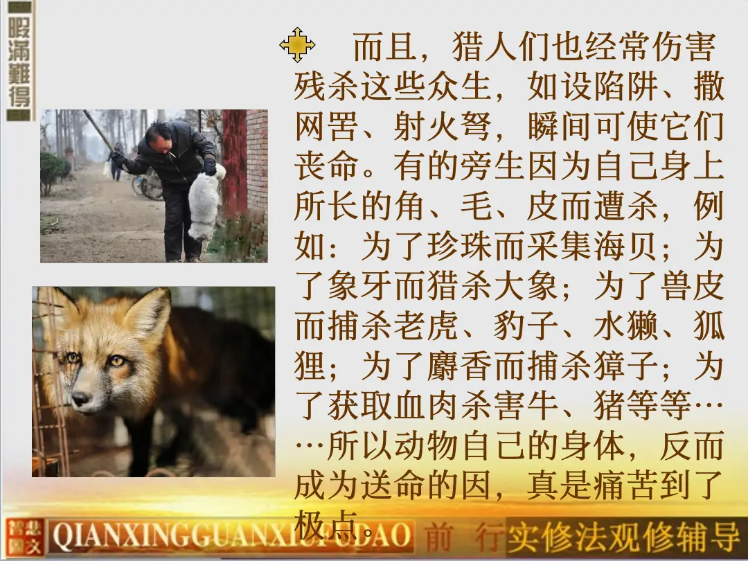 讲义第 51 页