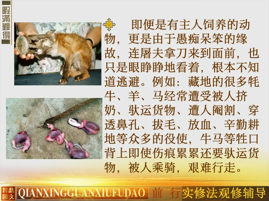 讲义第 52 页