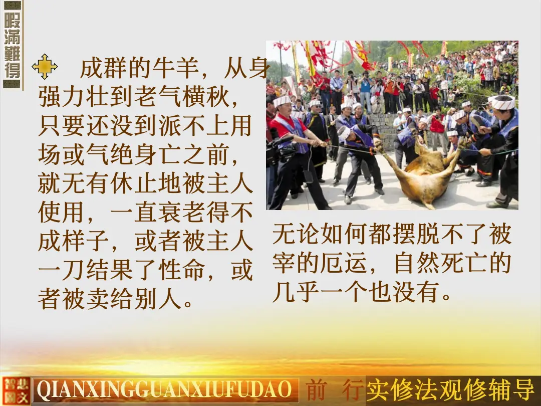 讲义第 54 页