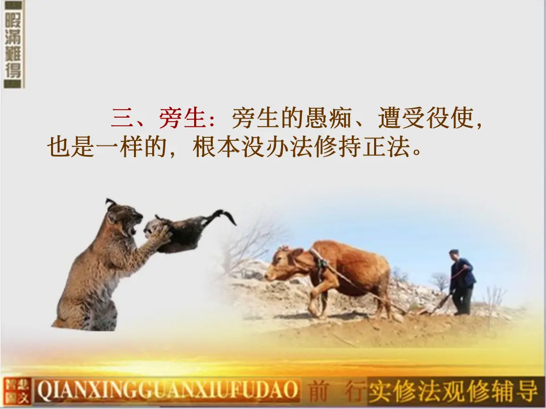 讲义第 20 页