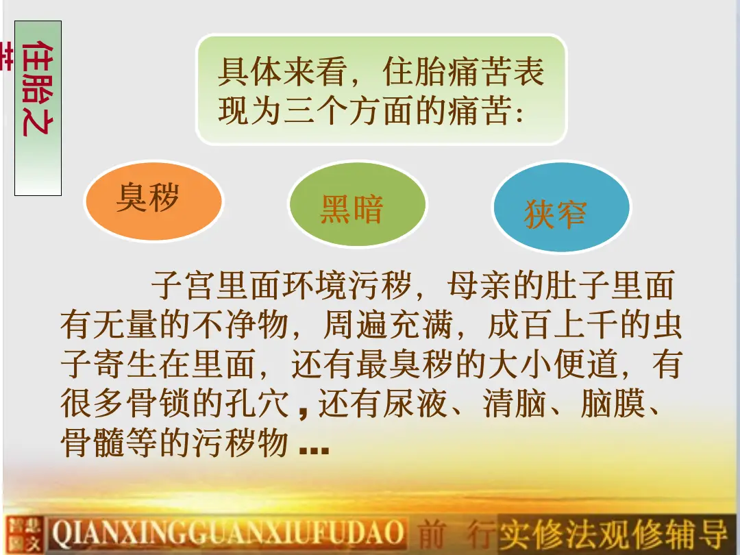 讲义第 14 页