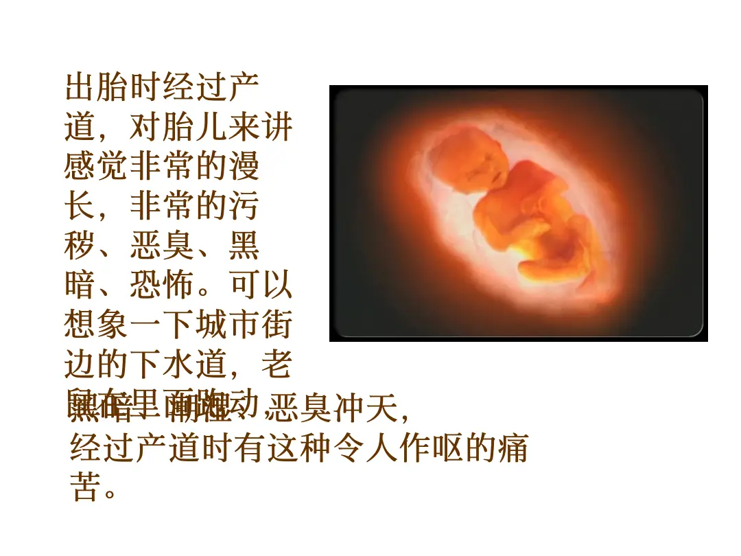 讲义第 28 页