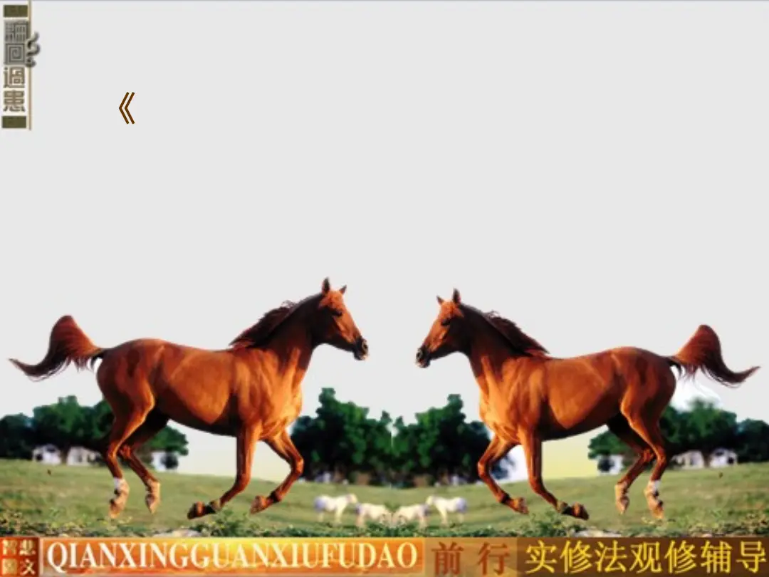 讲义第 11 页