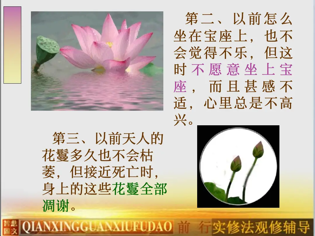 讲义第 12 页