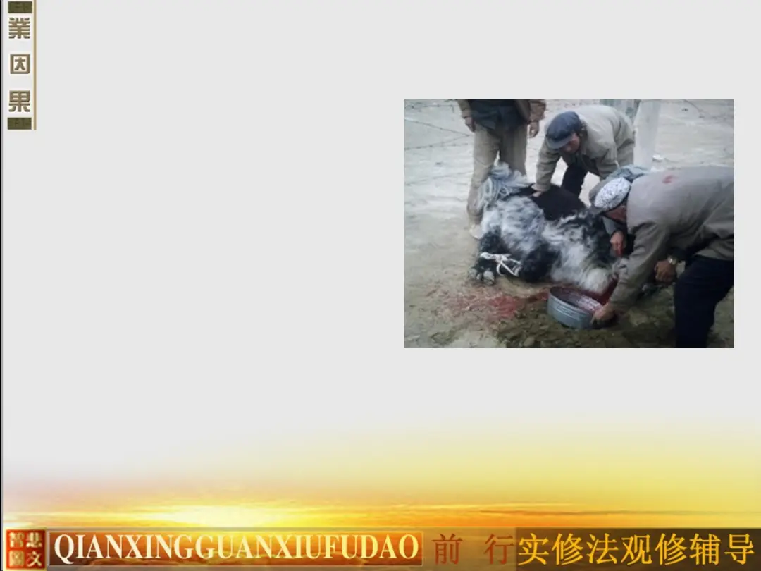 讲义第 13 页