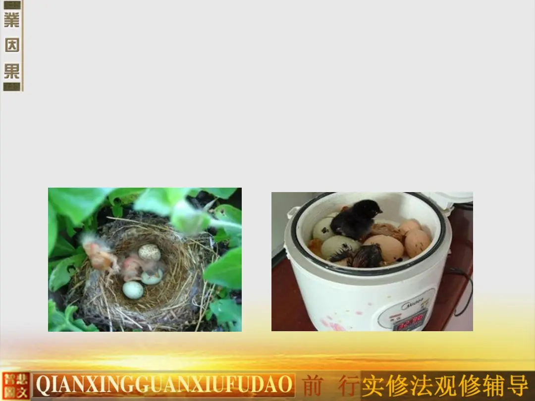 讲义第 24 页