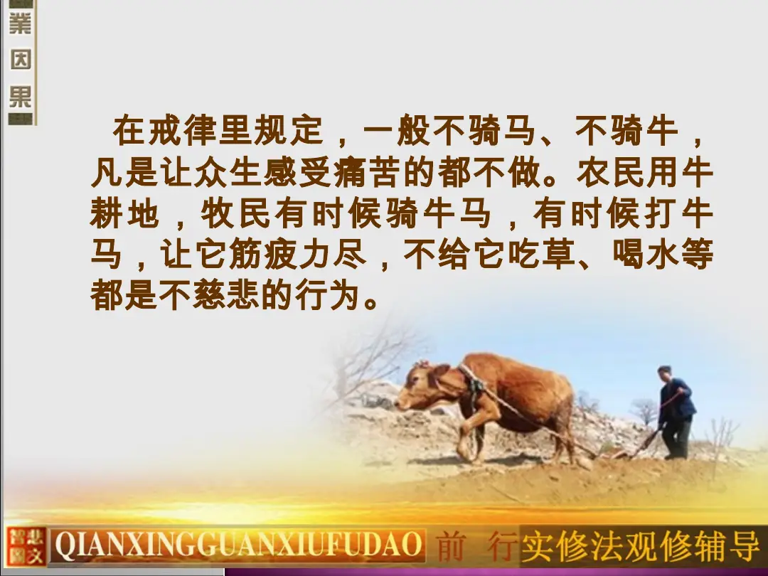 讲义第 29 页
