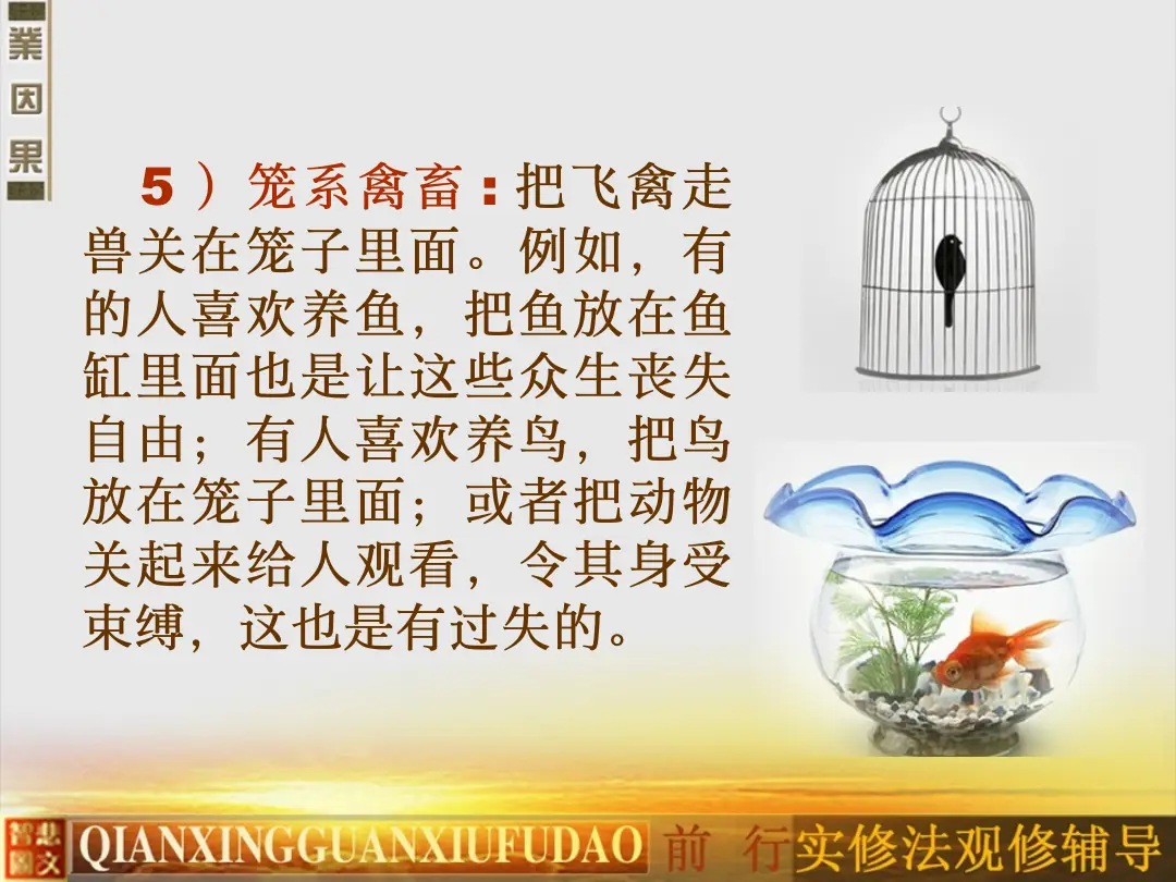 讲义第 31 页