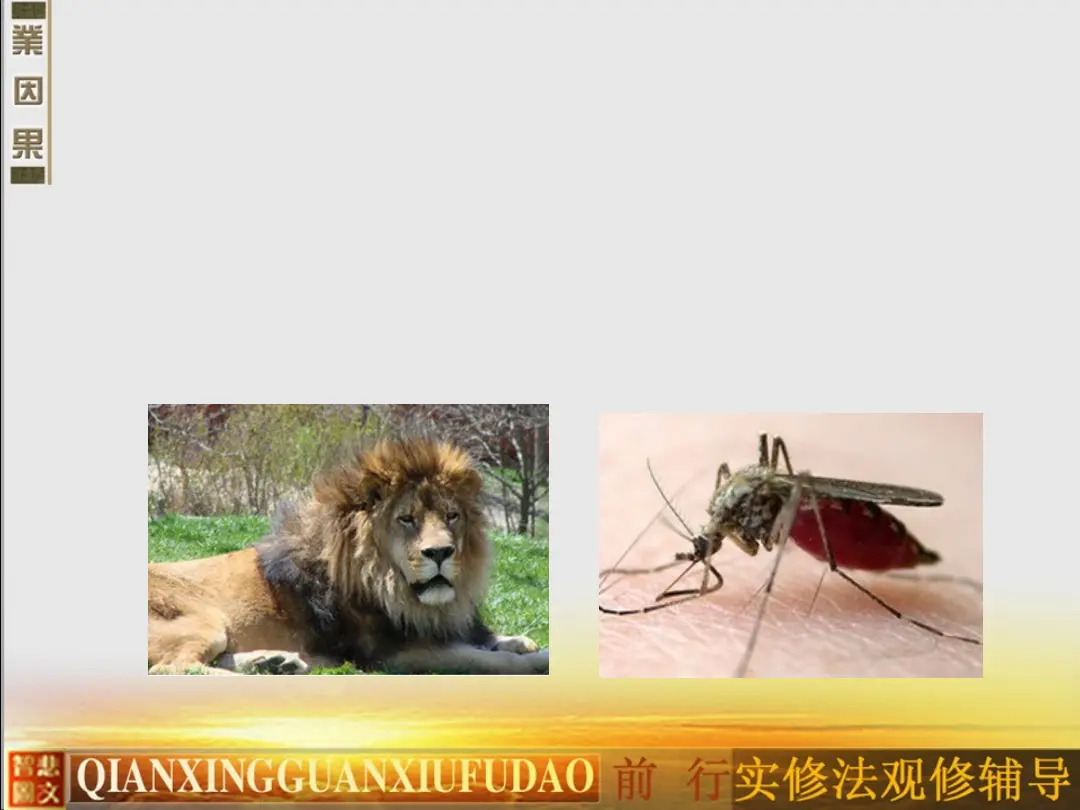讲义第 40 页