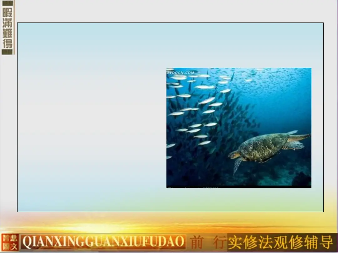 讲义第 10 页