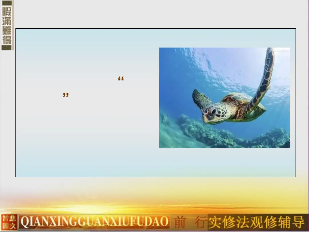 讲义第 11 页