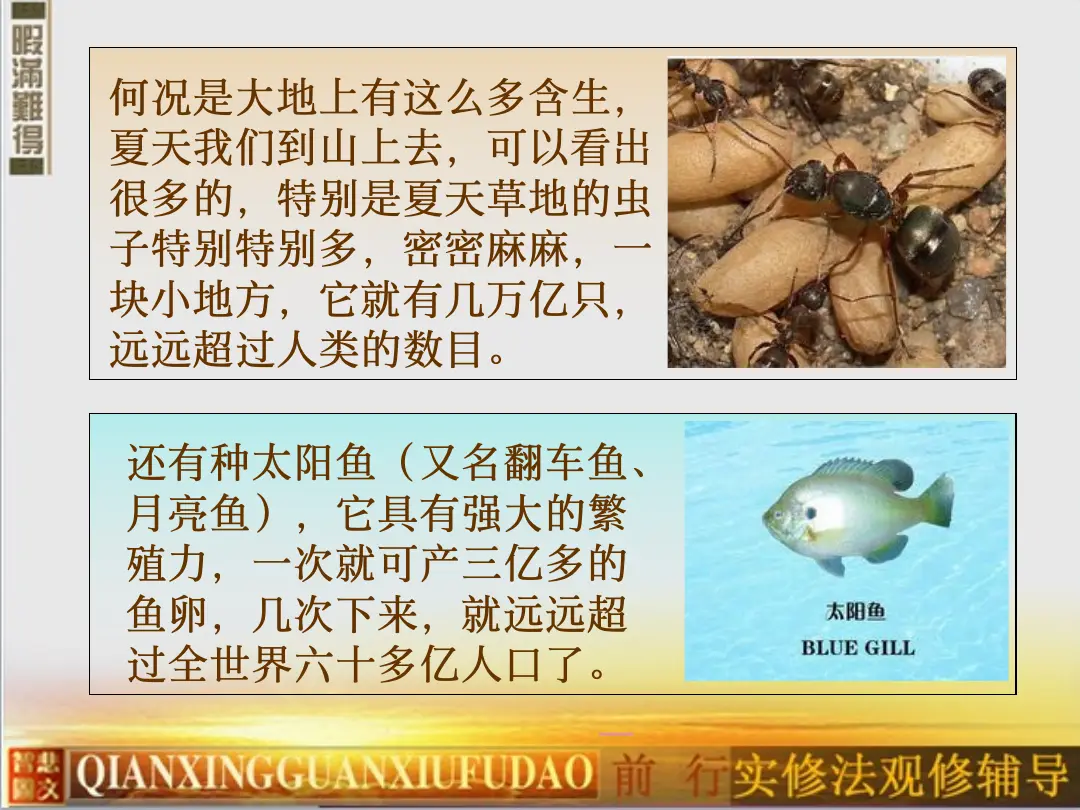 讲义第 28 页