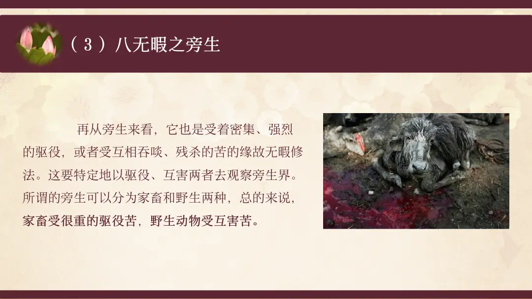 讲义第 33 页
