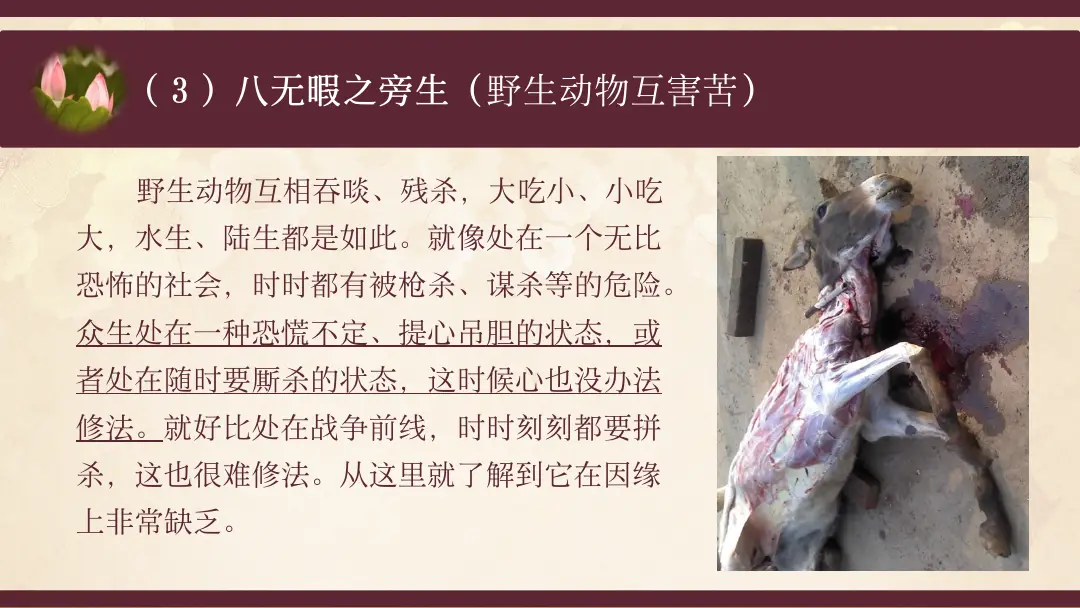 讲义第 35 页