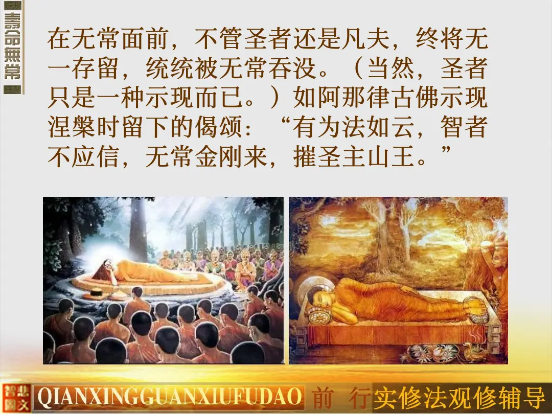 讲义第 14 页