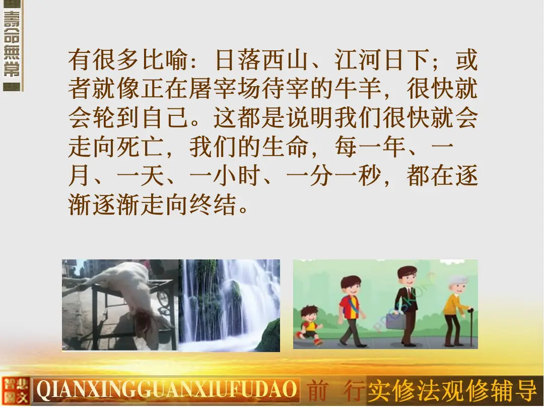讲义第 12 页