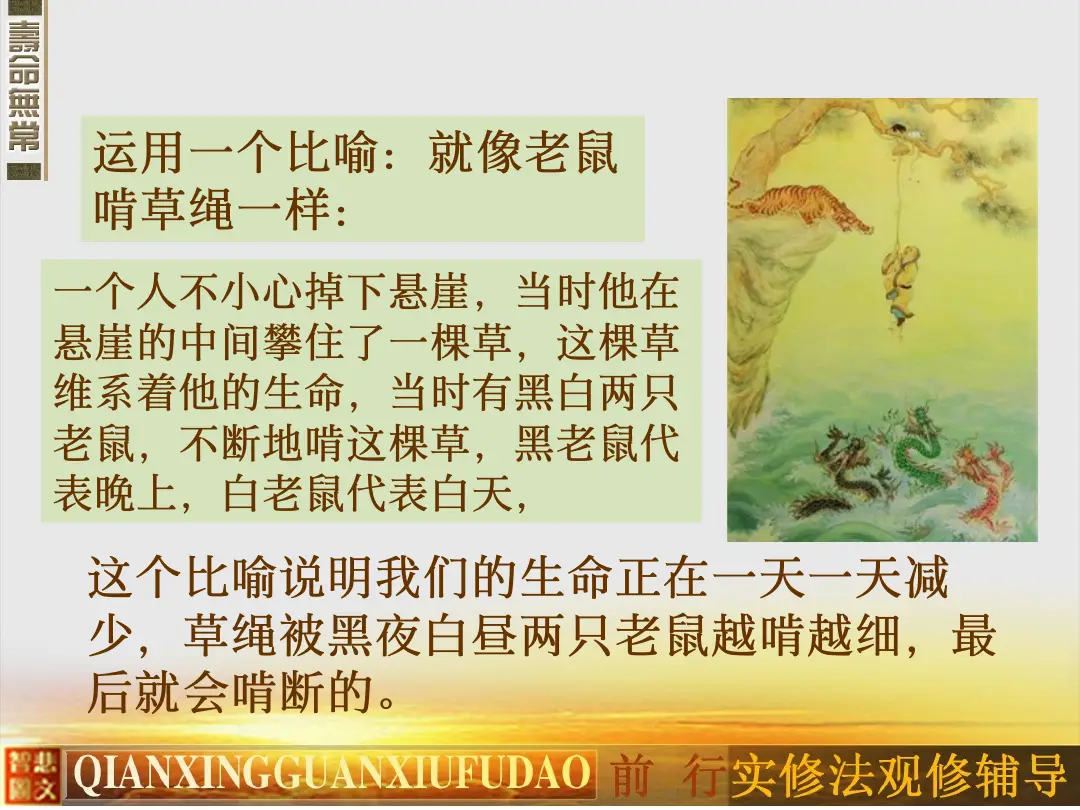 讲义第 14 页