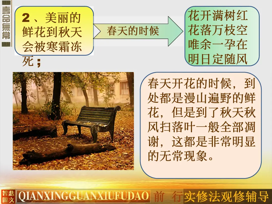 讲义第 12 页