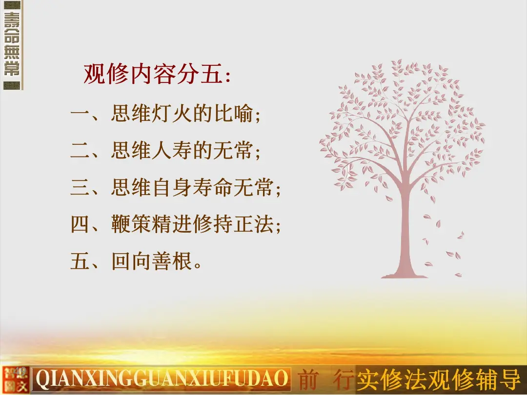讲义第 49 页