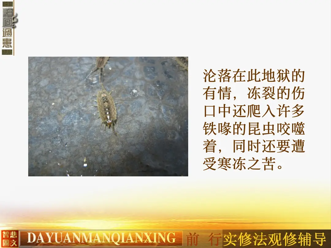 讲义第 25 页