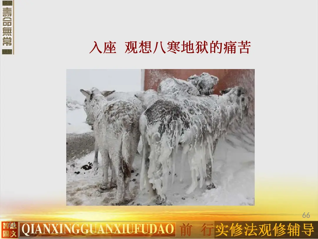 讲义第 66 页