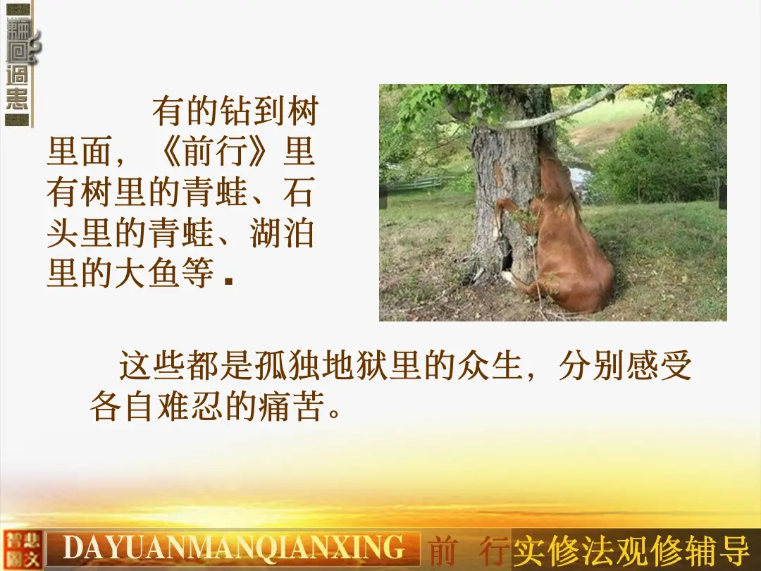 讲义第 12 页