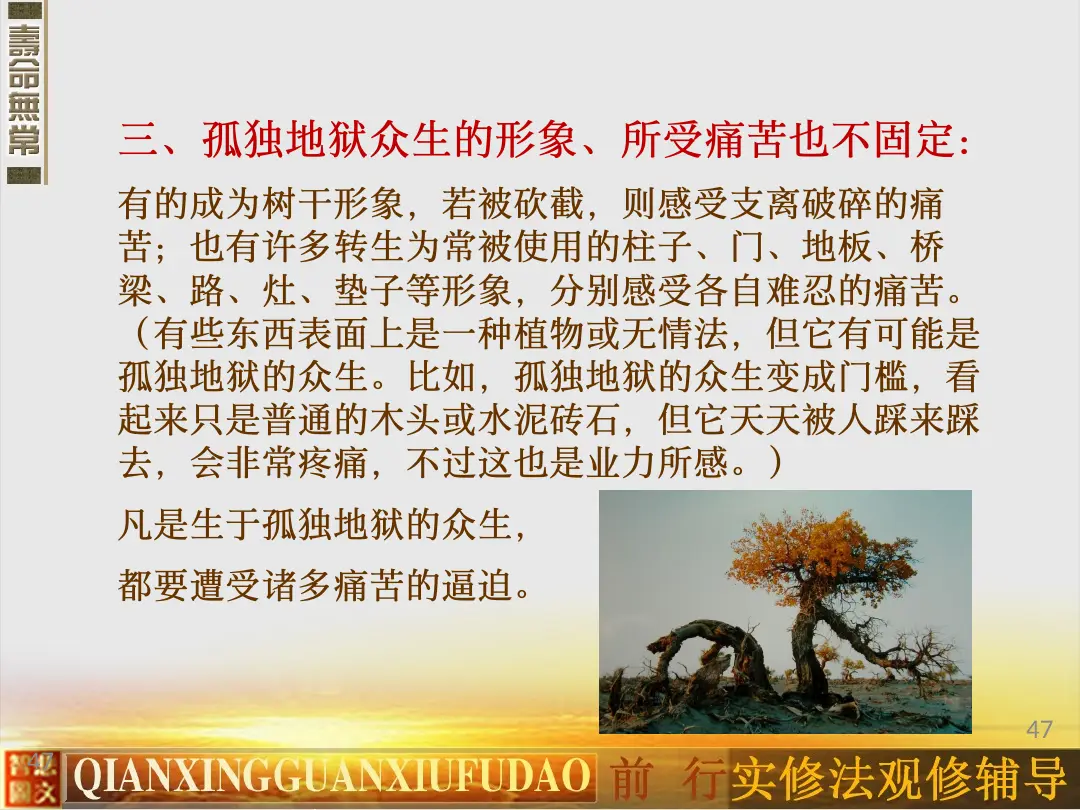 讲义第 47 页