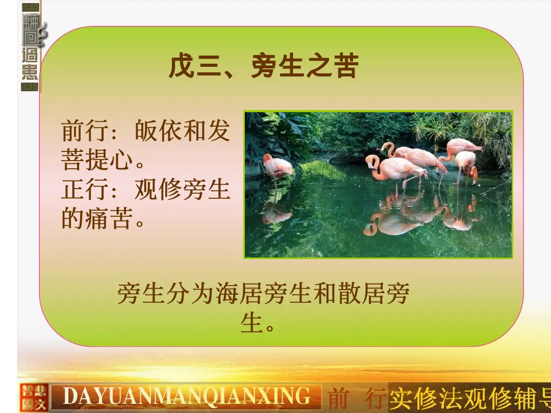 讲义第 7 页