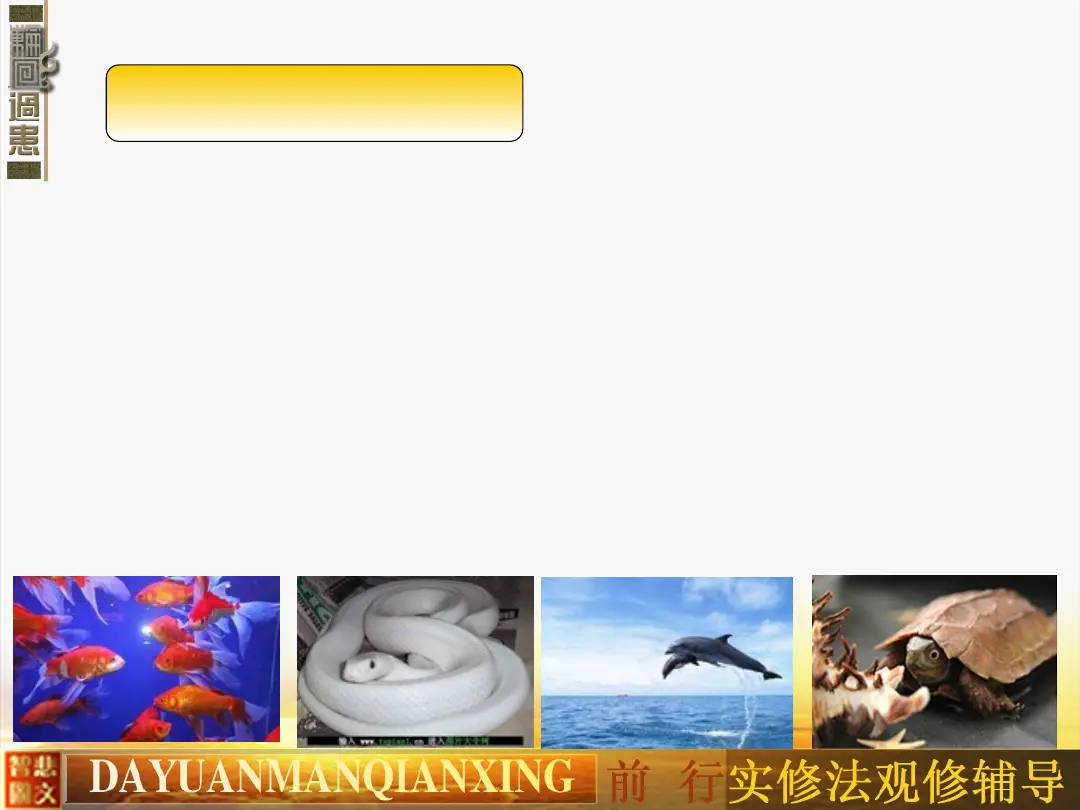讲义第 9 页