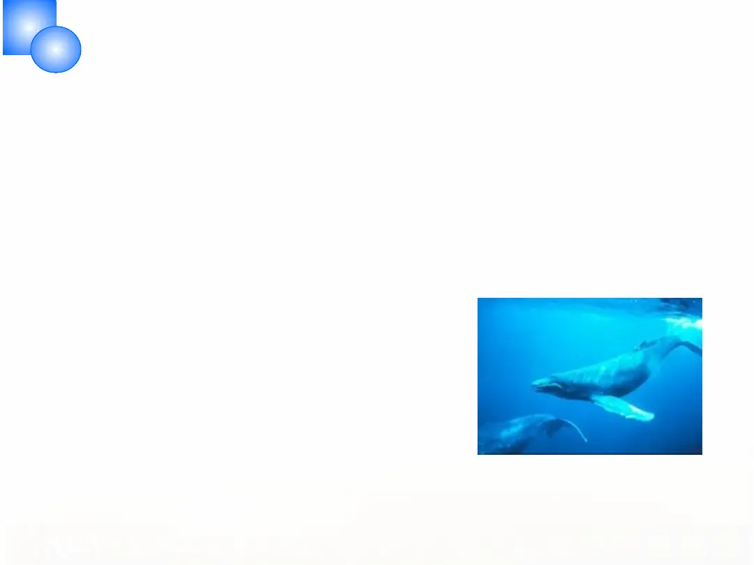讲义第 10 页
