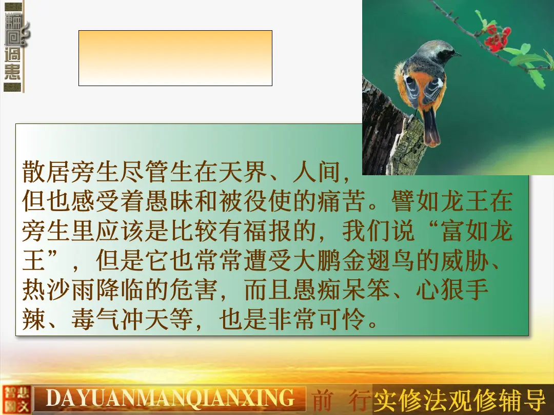 讲义第 13 页