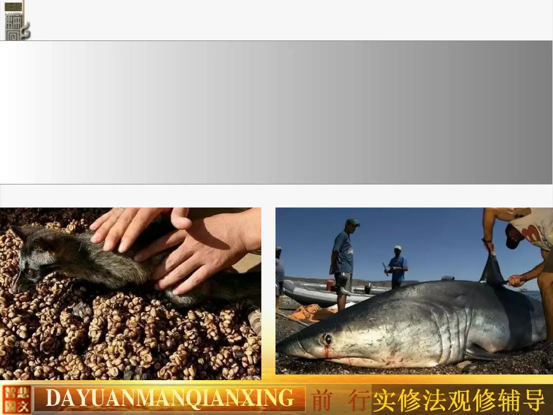 讲义第 30 页