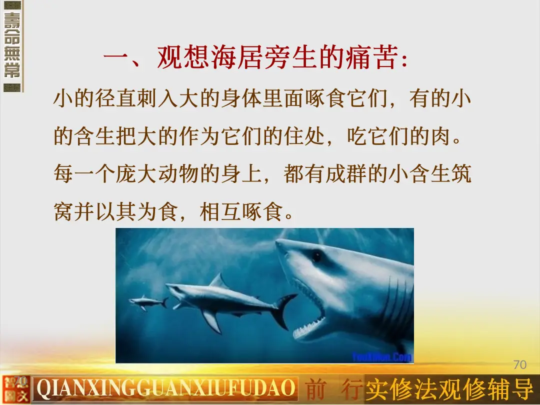 讲义第 70 页