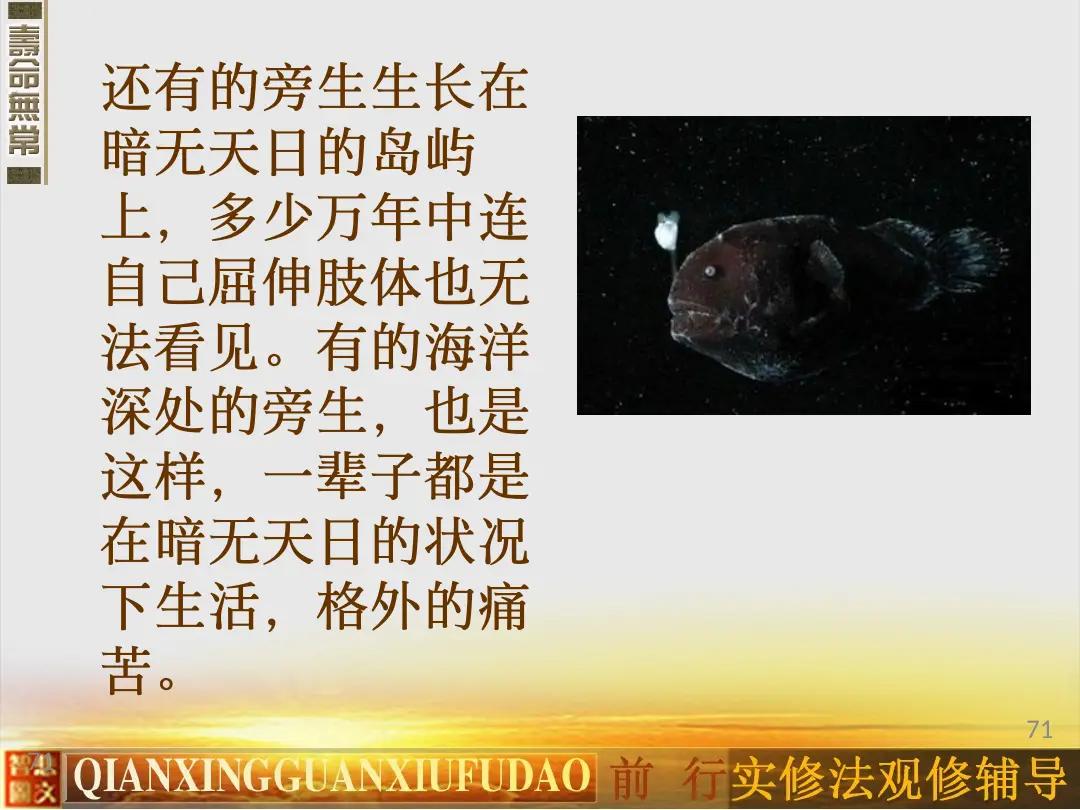 讲义第 71 页