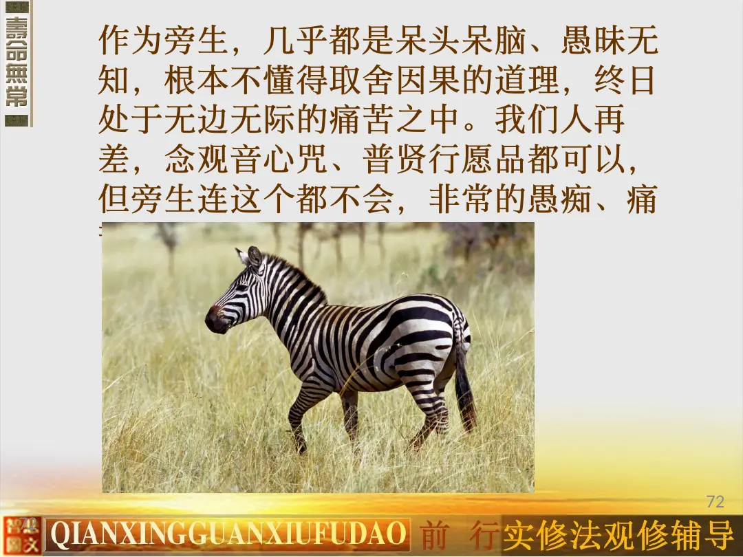 讲义第 72 页