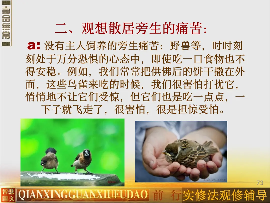 讲义第 73 页
