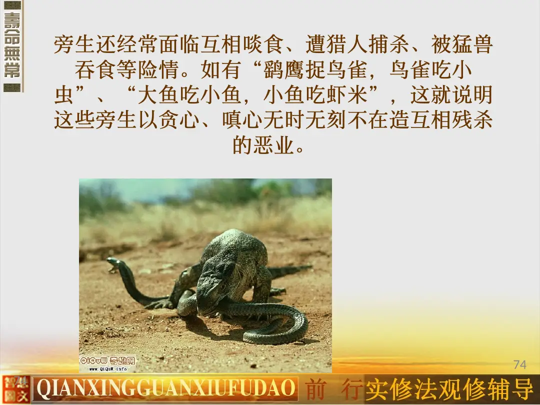 讲义第 74 页
