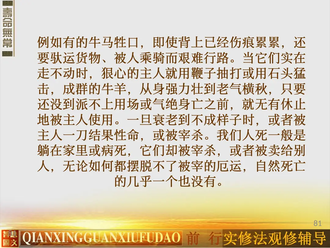 讲义第 81 页