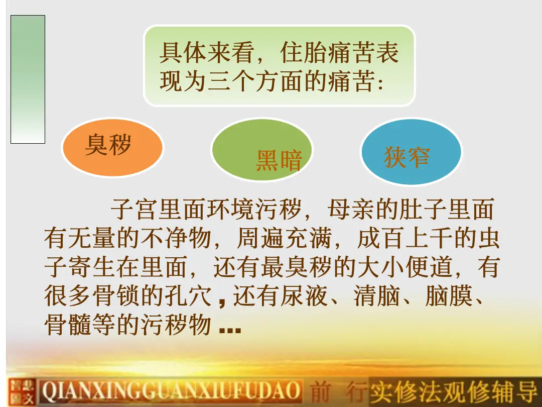 讲义第 14 页