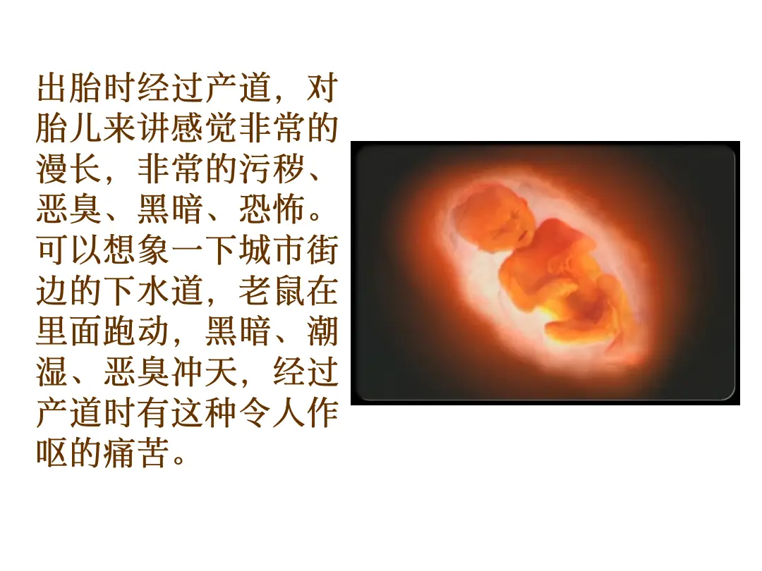 讲义第 28 页
