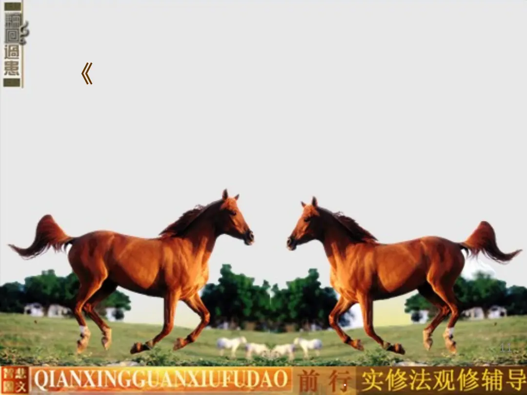 讲义第 11 页