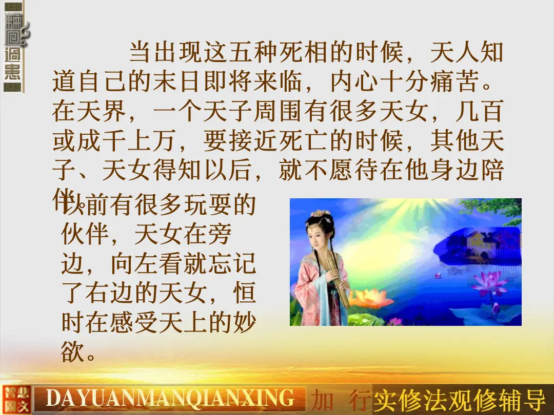 讲义第 14 页