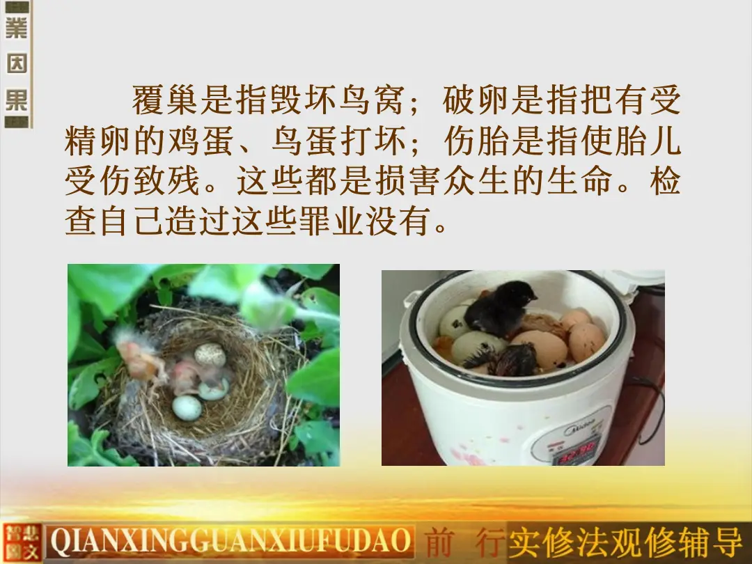 讲义第 24 页
