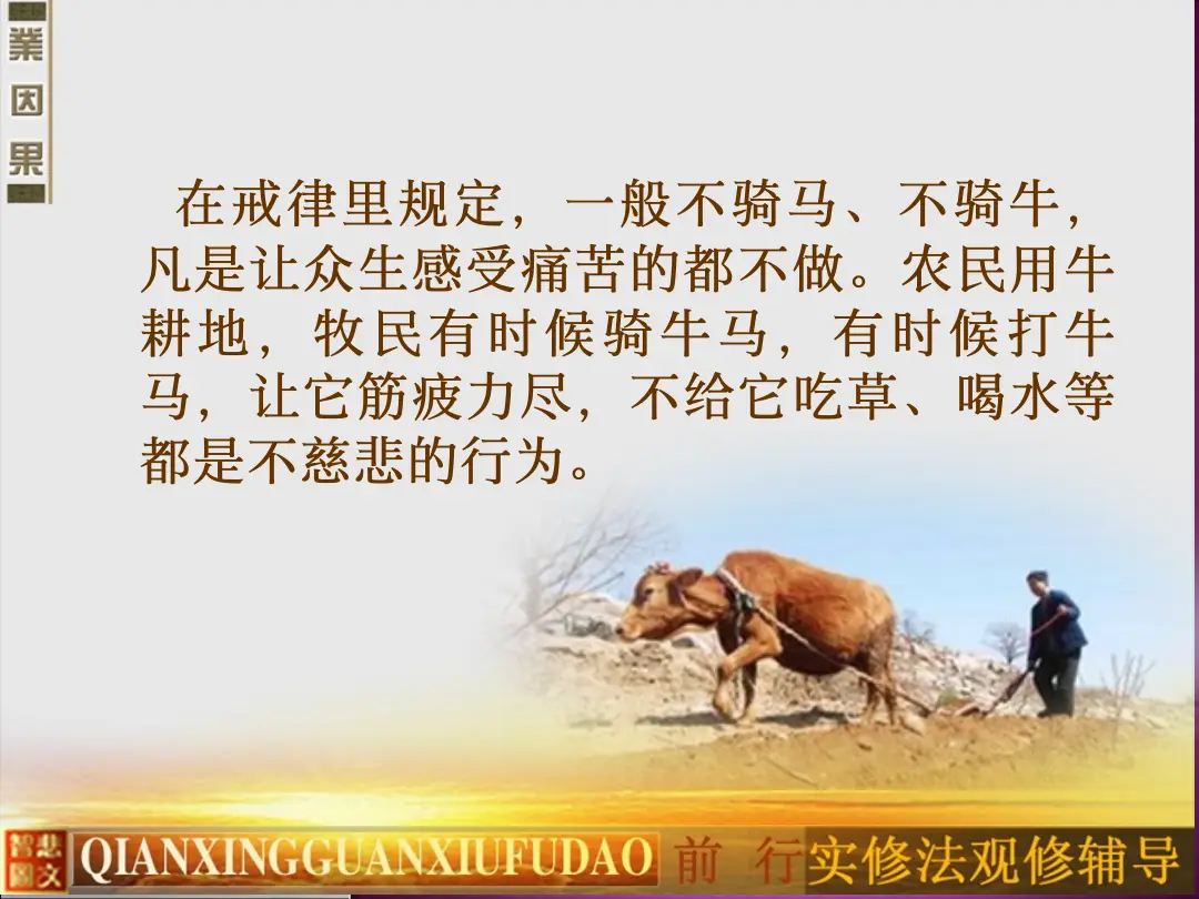 讲义第 29 页