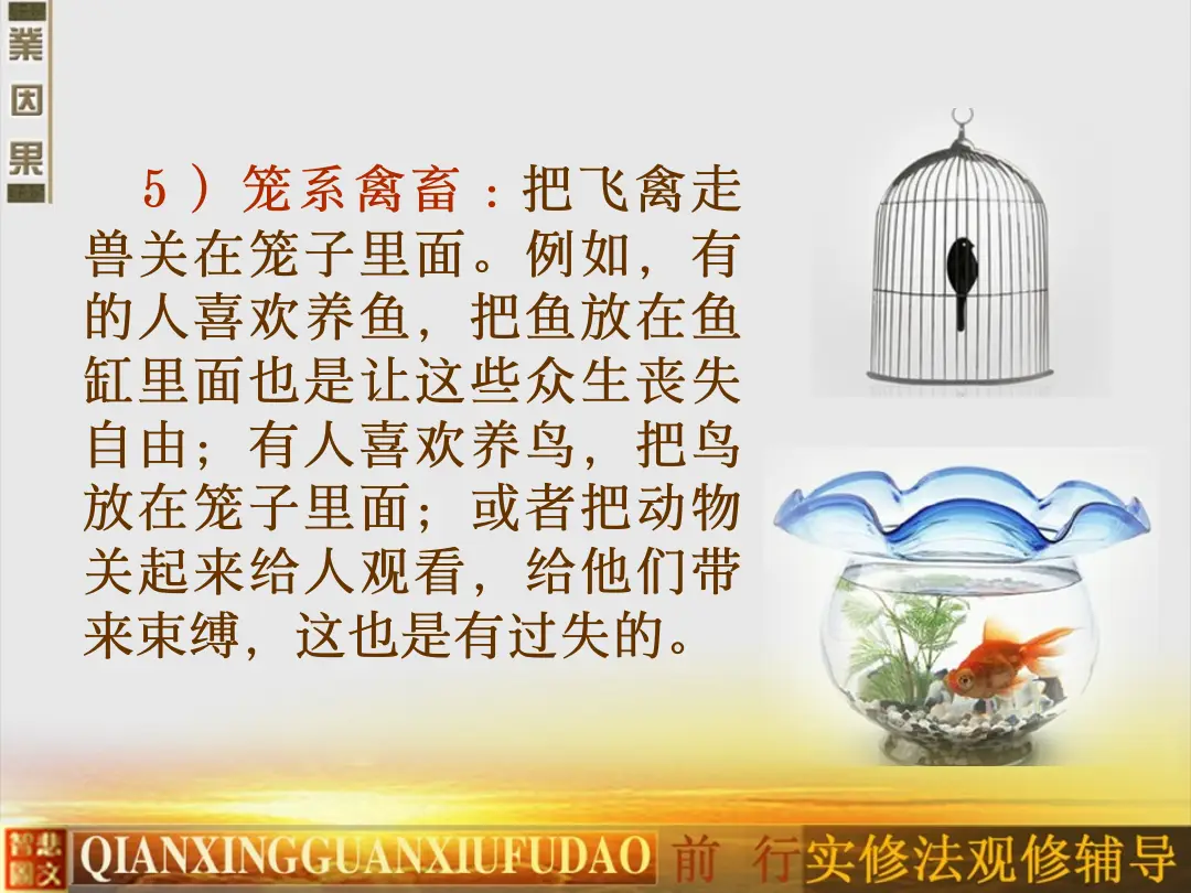 讲义第 31 页