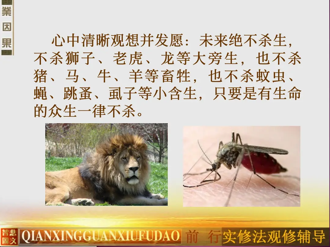 讲义第 40 页
